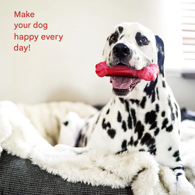 The Playful Dog Dentist - BuddyChew-S-State of Style