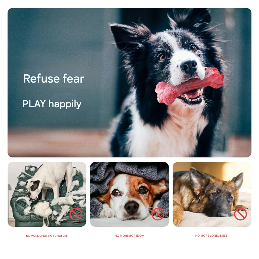 The Playful Dog Dentist - BuddyChew-S-State of Style