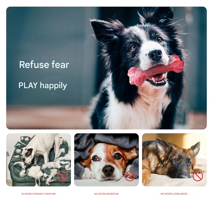 The Playful Dog Dentist - BuddyChew-S-State of Style