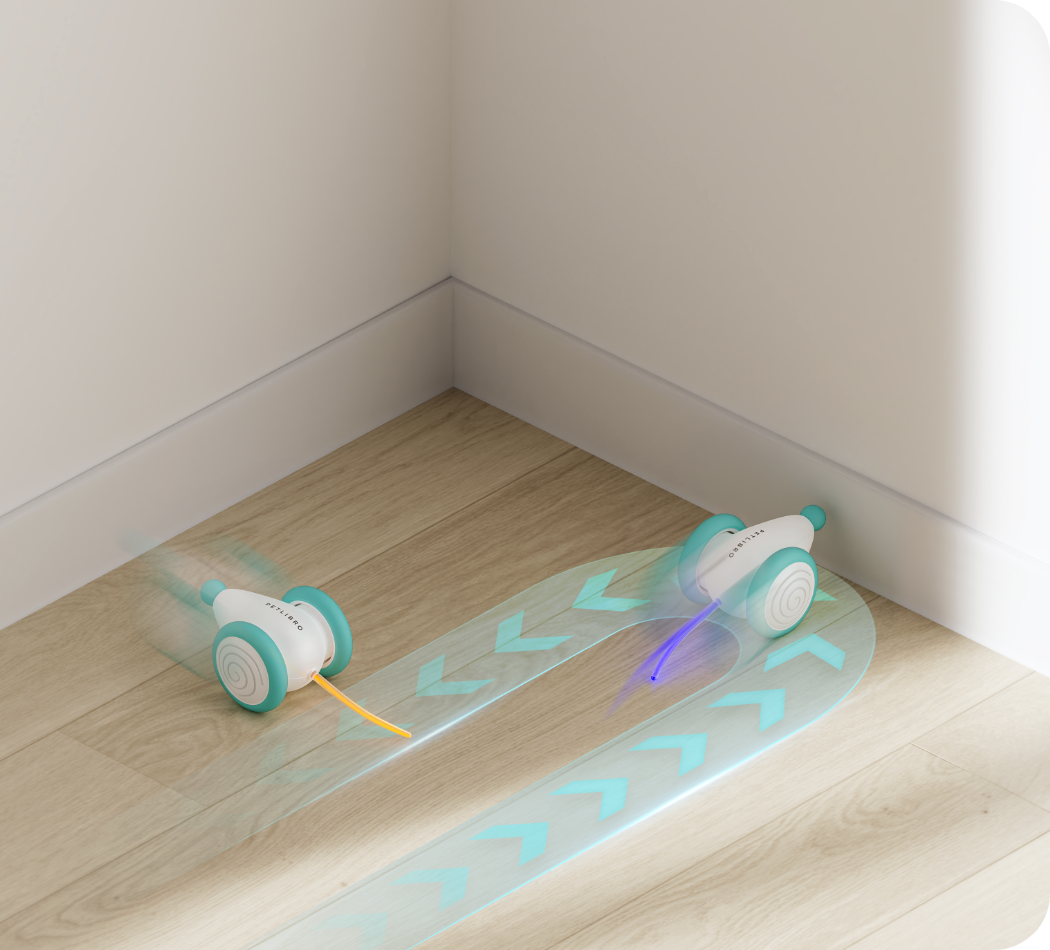 The Ultimate Chew-Resistant Cat Toy - WhiskerPlay-Blue-State of Style