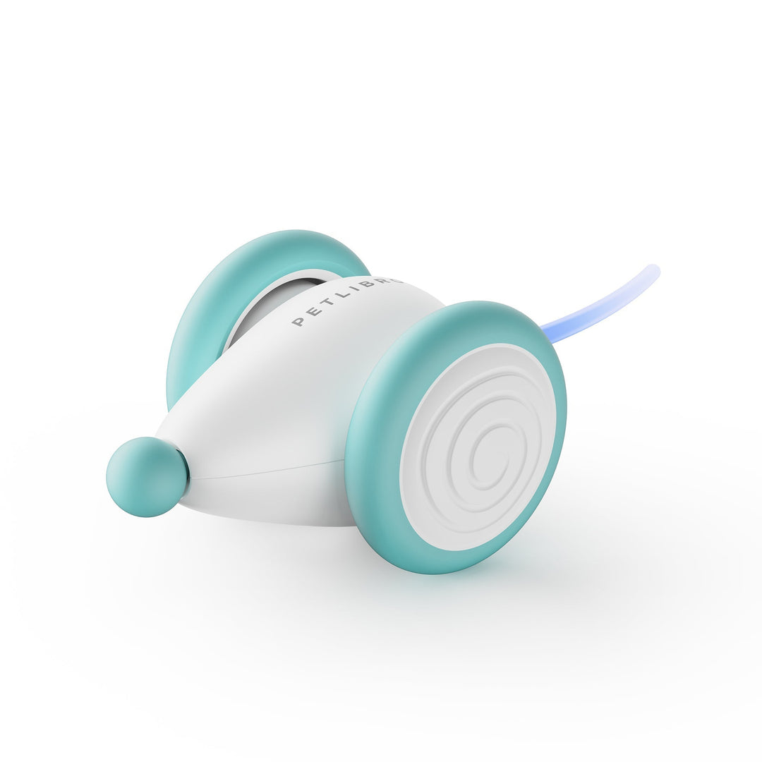 The Ultimate Chew-Resistant Cat Toy - WhiskerPlay-Blue-State of Style