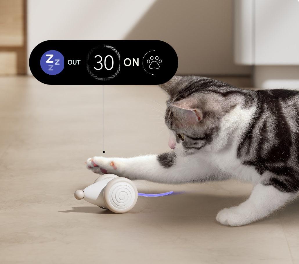 The Ultimate Chew-Resistant Cat Toy - WhiskerPlay-Blue-State of Style