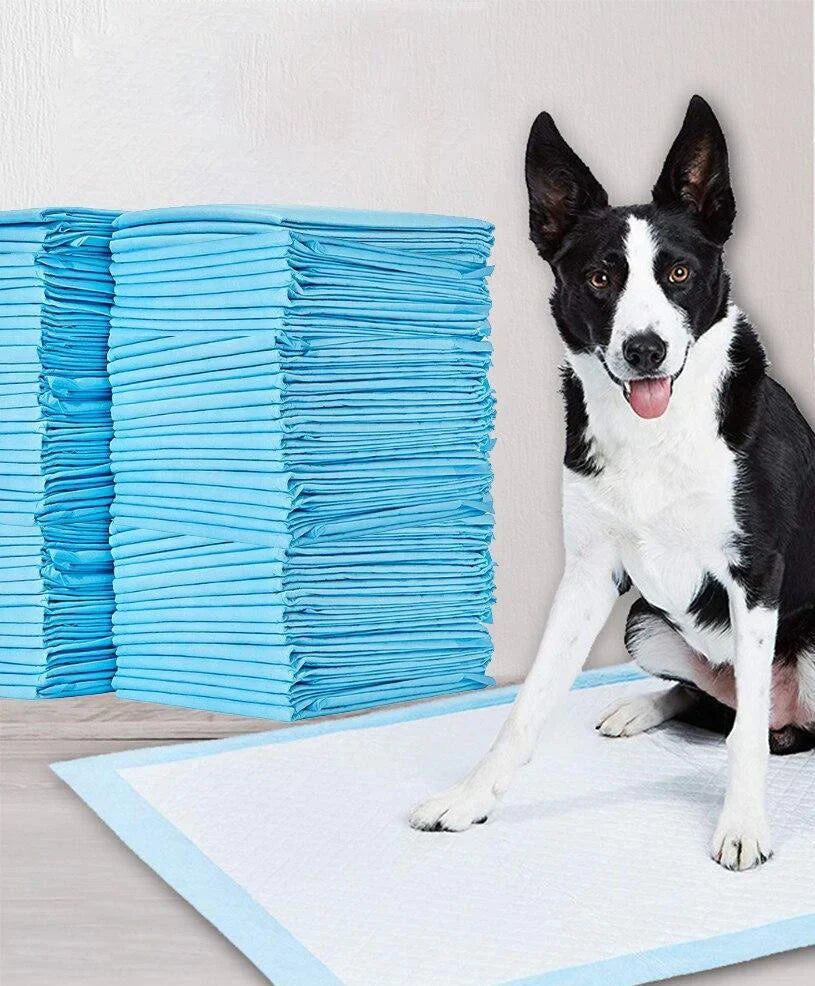 Toilet Training Pads - PeeMaster Pads-State of Style