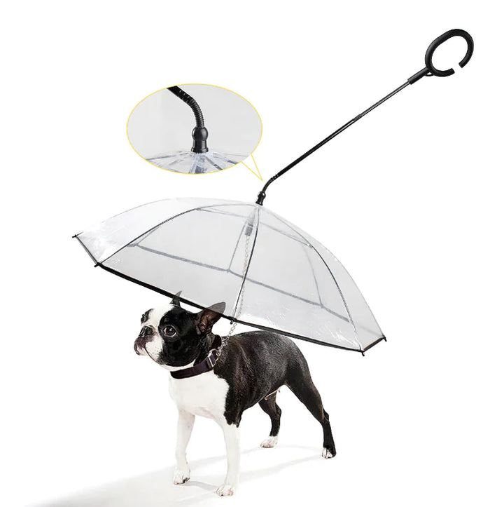 Transparent Dog Umbrella - ClearShield-State of Style