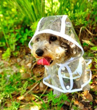 Transparent Waterproof Raincoat for Dogs - DryPaw-White-S-State of Style