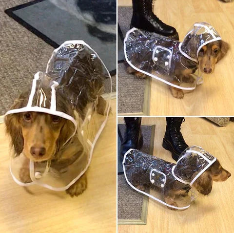 Transparent Waterproof Raincoat for Dogs - DryPaw-White-XS-State of Style