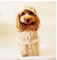 Transparent Waterproof Raincoat for Dogs - DryPaw-White-XS-State of Style