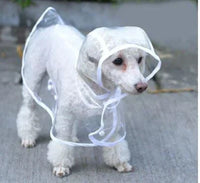 Transparent Waterproof Raincoat for Dogs - DryPaw-White-XS-State of Style
