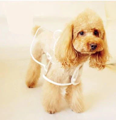 Transparent Waterproof Raincoat for Dogs - DryPaw-White-XS-State of Style