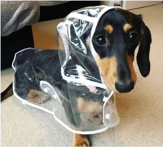 Transparent Waterproof Raincoat for Dogs - DryPaw-White-XS-State of Style