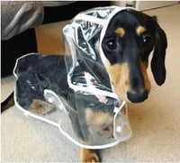 Transparent Waterproof Raincoat for Dogs - DryPaw-White-XS-State of Style