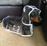 Transparent Waterproof Raincoat for Dogs - DryPaw-White-XS-State of Style