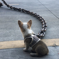 Trendy and Fun Dog Leash - PawChic-Bronze-1.5m-State of Style