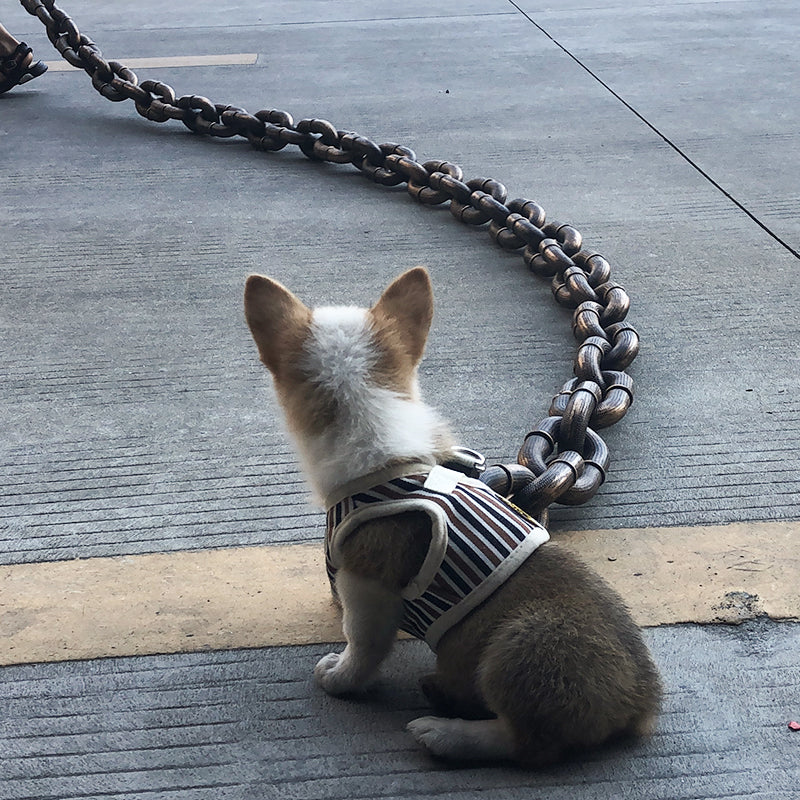 Trendy and Fun Dog Leash - PawChic-Bronze-1.5m-State of Style