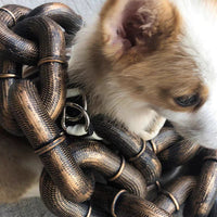 Trendy and Fun Dog Leash - PawChic-Bronze-1.5m-State of Style