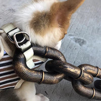 Trendy and Fun Dog Leash - PawChic-Bronze-1.5m-State of Style