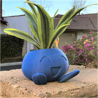 Unique Succulent Pot - QuirkyPot-State of Style
