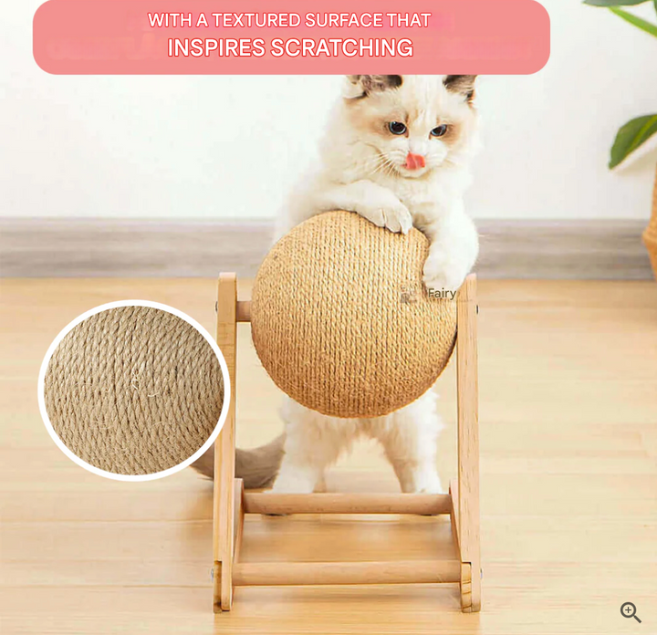 Versatile Cat Toy - CatScratch Wonderland-Small (12 cm Diameter)-State of Style