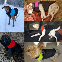 Warm and Water-Repellent Dog Coat - WarmPaws-S-Pink-State of Style