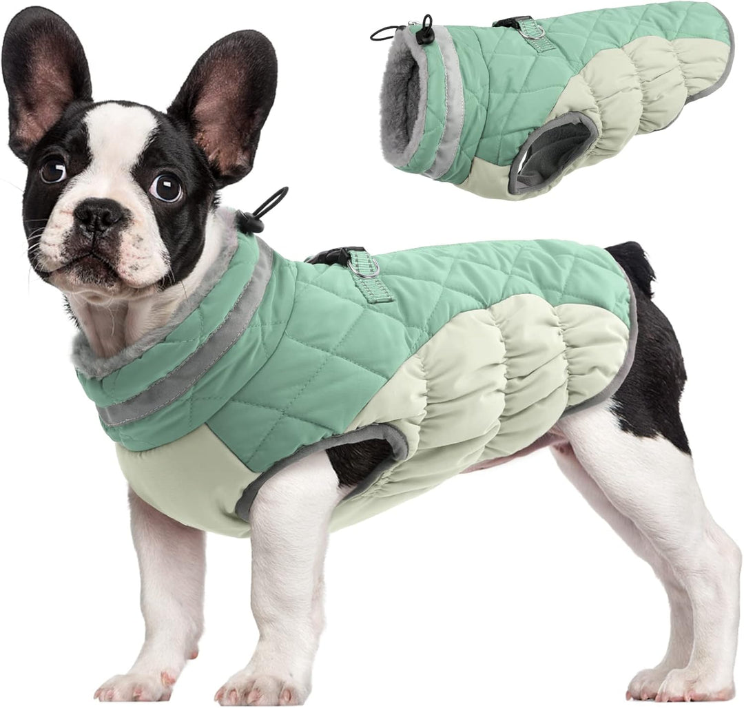 Warm Dog Winter Jacket with Built-in Harness-Mint green-XS-State of Style