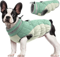 Warm Dog Winter Jacket with Built-in Harness-Mint green-XS-State of Style
