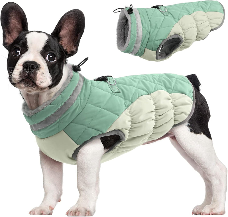 Warm Dog Winter Jacket with Built-in Harness-Mint green-XS-State of Style