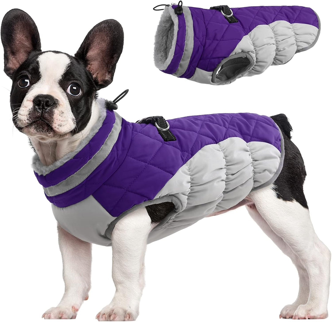 Warm Dog Winter Jacket with Built-in Harness-Purple-XS-State of Style