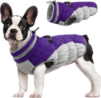 Warm Dog Winter Jacket with Built-in Harness-Purple-XS-State of Style