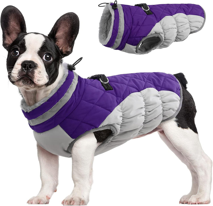 Warm Dog Winter Jacket with Built-in Harness-Purple-XS-State of Style