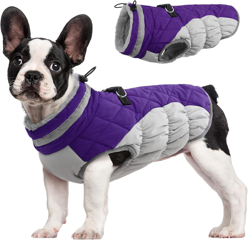 Warm Dog Winter Jacket with Built-in Harness-Purple-XS-State of Style