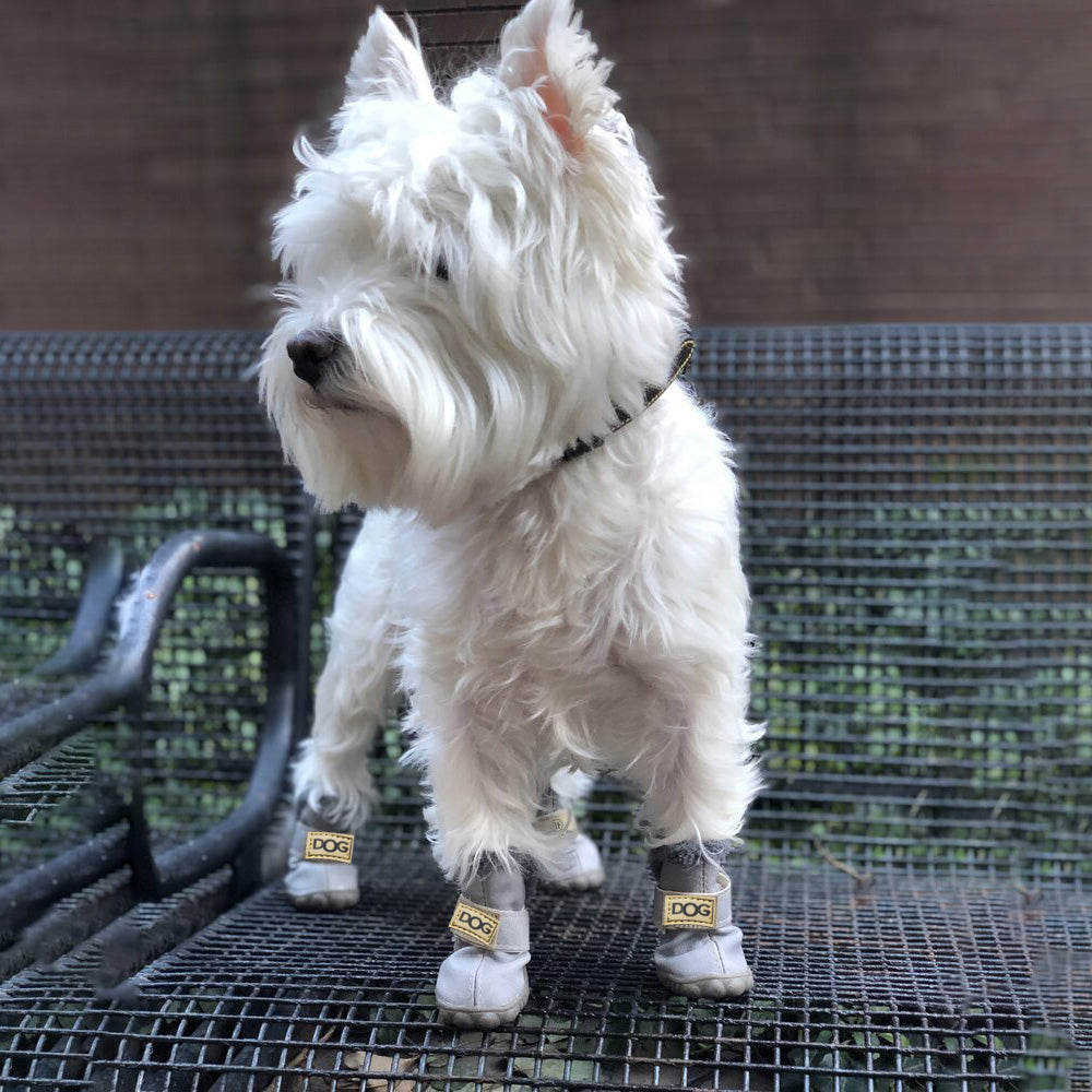 Warm Dogs Snow Boots - SnowPaws-Blue-S-State of Style