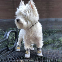Warm Dogs Snow Boots - SnowPaws-Blue-S-State of Style