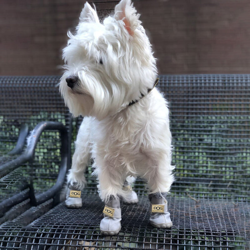 Warm Dogs Snow Boots - SnowPaws-Blue-S-State of Style