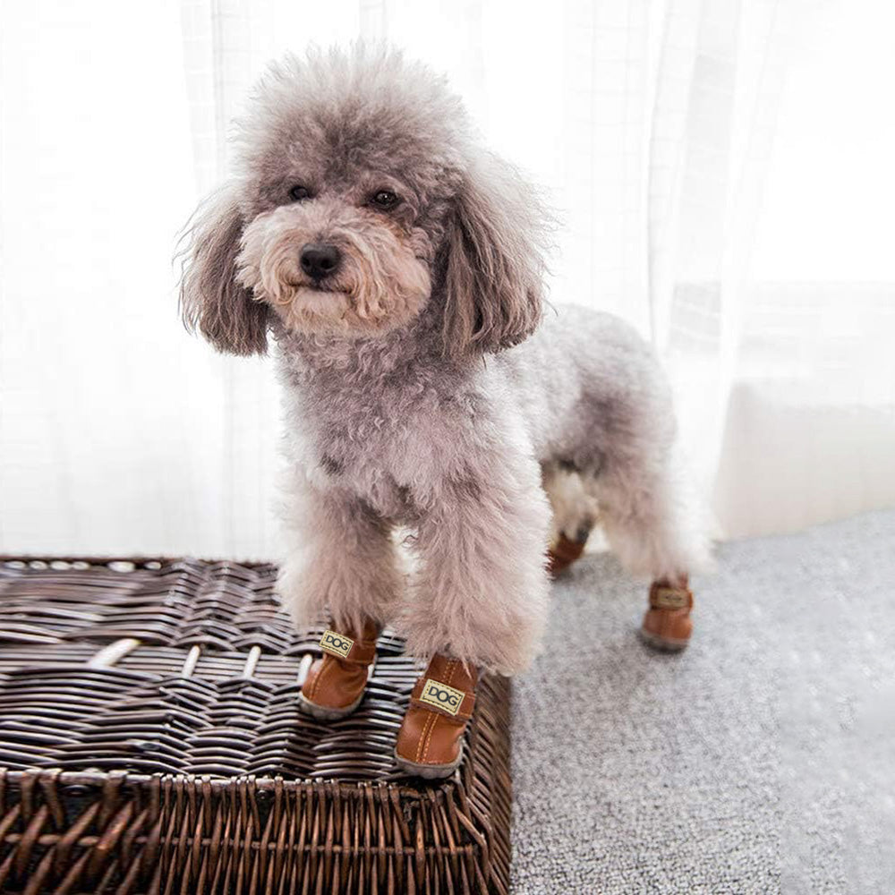 Warm Dogs Snow Boots - SnowPaws-Blue-S-State of Style