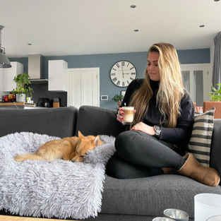 Washable Pet Sofa Blanket - PlushNest-Dark blue-S (70x70 cm)-State of Style