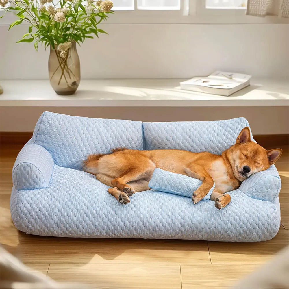 Washable Plush Pet Cushion Bed - CozyPaws-L-Blue-State of Style