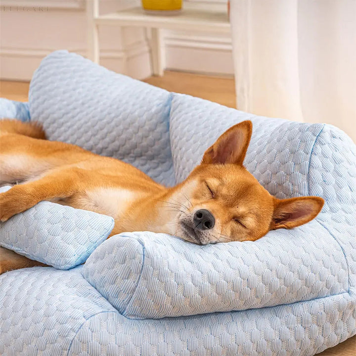 Washable Plush Pet Cushion Bed - CozyPaws-M-Blue-State of Style