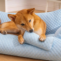 Washable Plush Pet Cushion Bed - CozyPaws-M-Blue-State of Style
