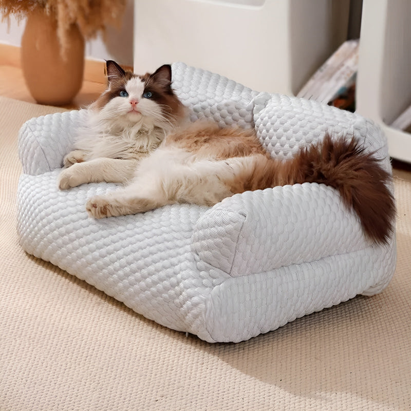 Washable Plush Pet Cushion Bed - CozyPaws-M-Green-State of Style