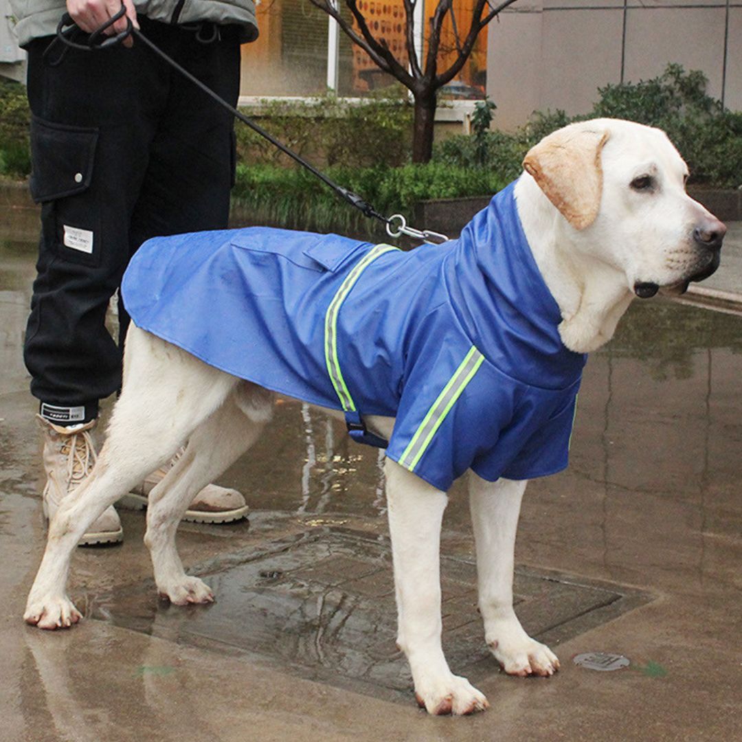 Waterproof Dog Coat - StormPaw-Blue-S-State of Style