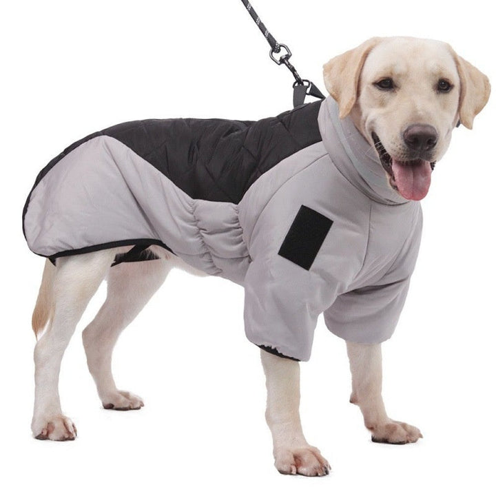Waterproof Dog Coat - WeatherPaws-Grey-Orange-XL-State of Style