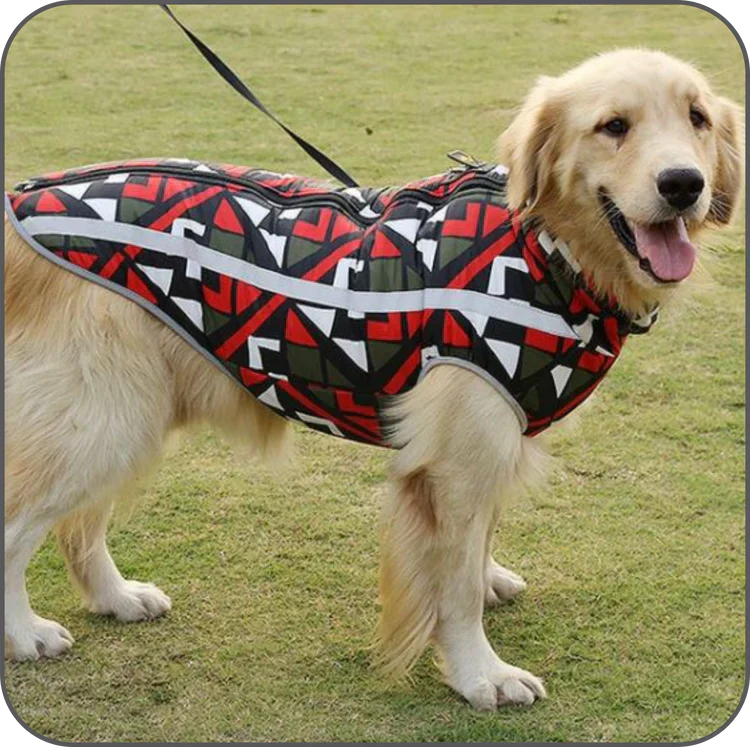 Waterproof Winter Jacket for Dogs - StormGuard-Red graffiti-XS-State of Style