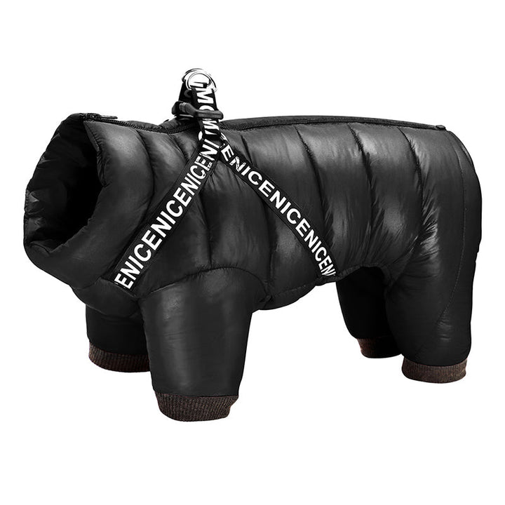 Winter coat for Dogs - ArcticPaws-Black-S-State of Style
