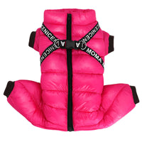 Winter coat for Dogs - ArcticPaws-Black-S-State of Style