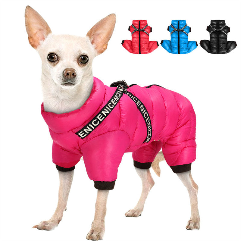Winter coat for Dogs - ArcticPaws-Black-S-State of Style