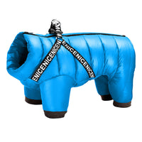 Winter coat for Dogs - ArcticPaws-Blue-S-State of Style
