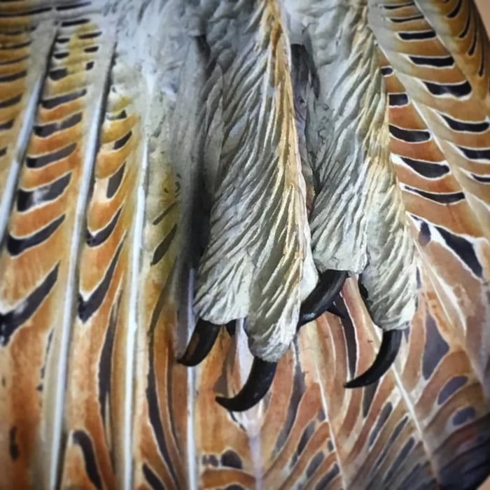 Wooden Wall Decoration – Owl “Majestic”-State of Style