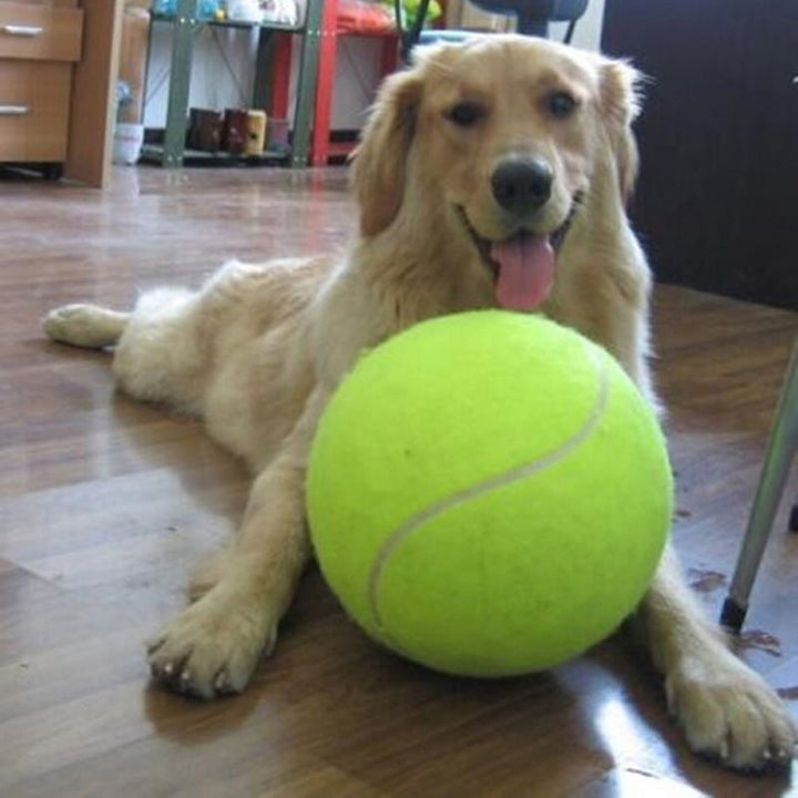 XXL Tennis Ball for Dogs (52.91 inches) - GiantFetch-State of Style